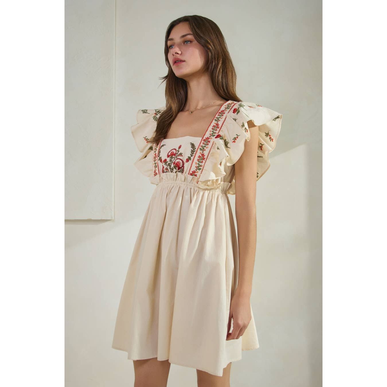 Embroidered Poplin Mini Dress