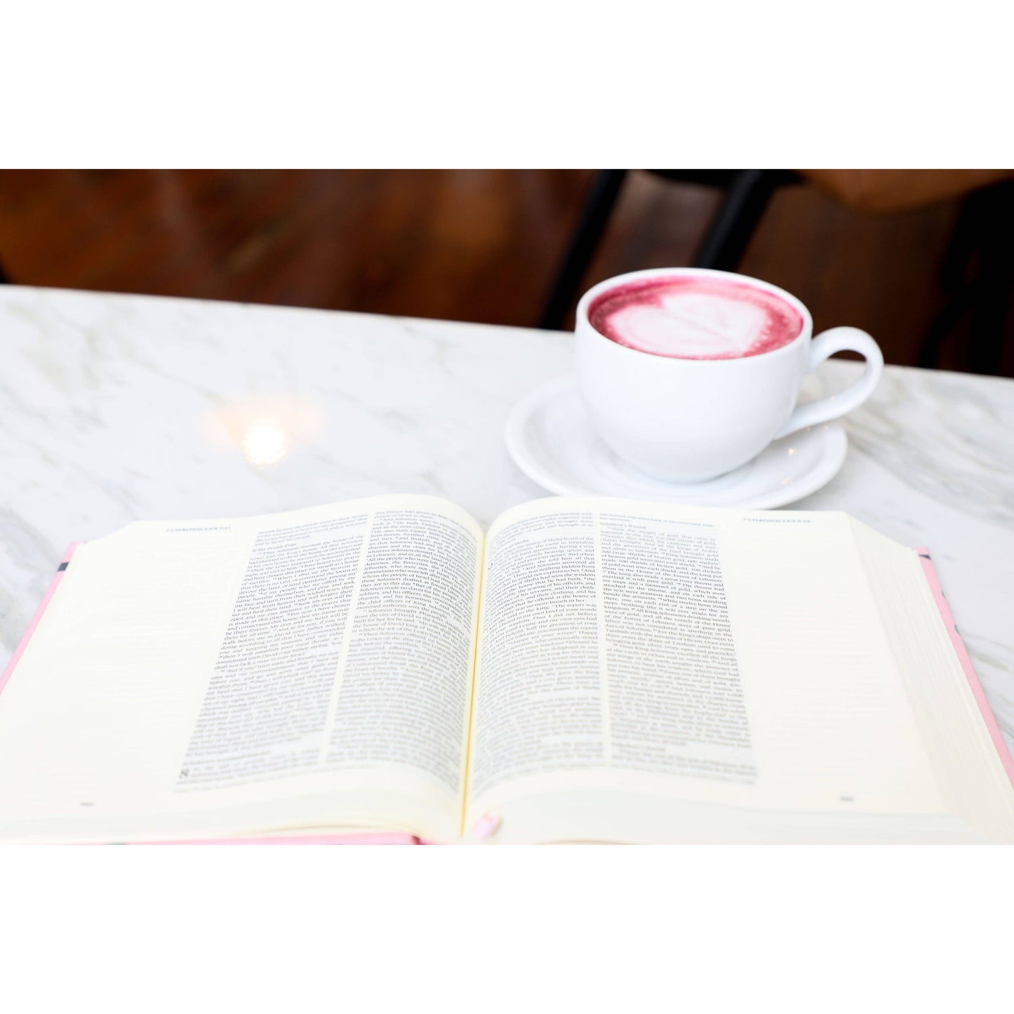 The Holy Bible - Blush, ESV Journaling Bible