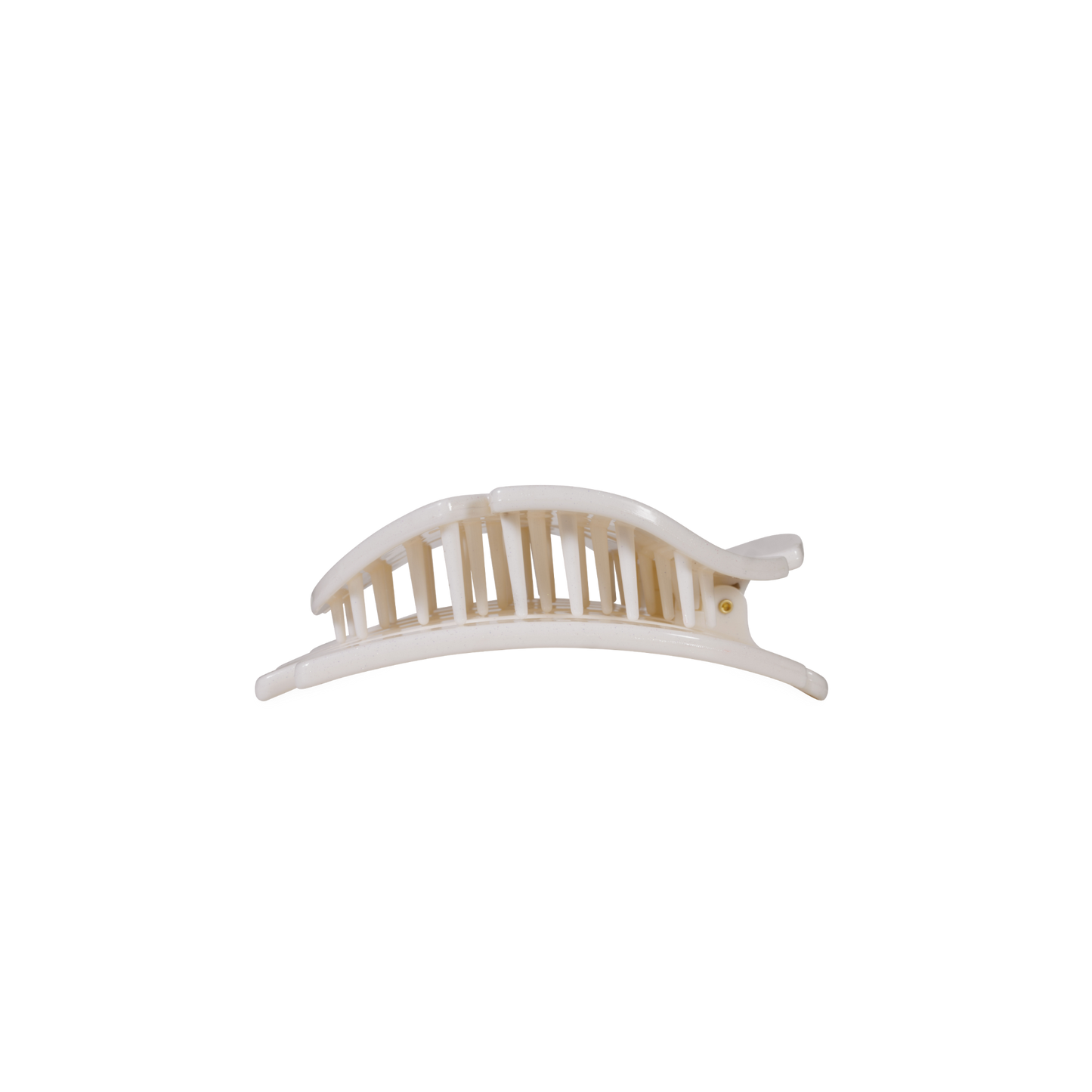Sand Dollar | Small | Flat Hair Clip