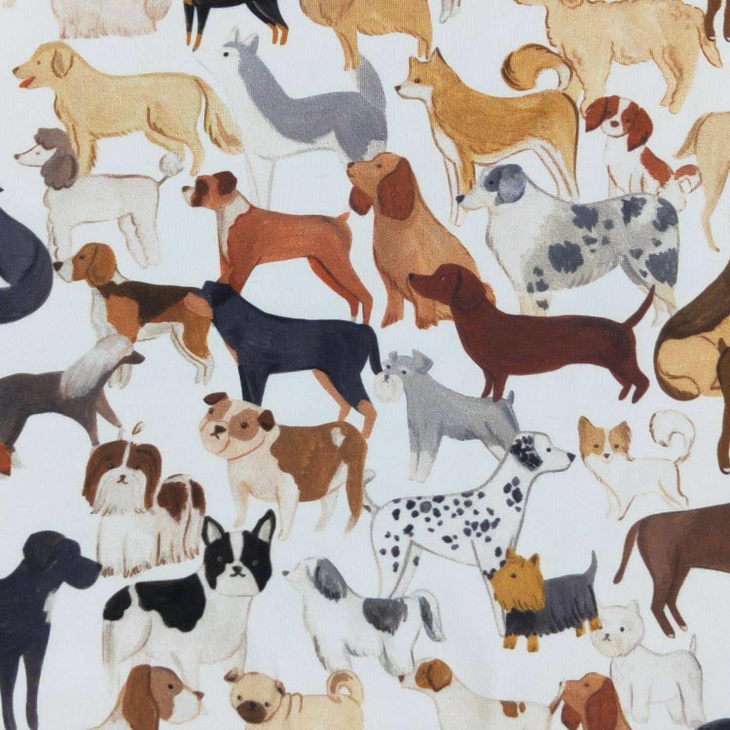 Dog Park Boy Romper