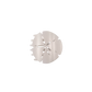 Sand Dollar | Small | Flat Hair Clip