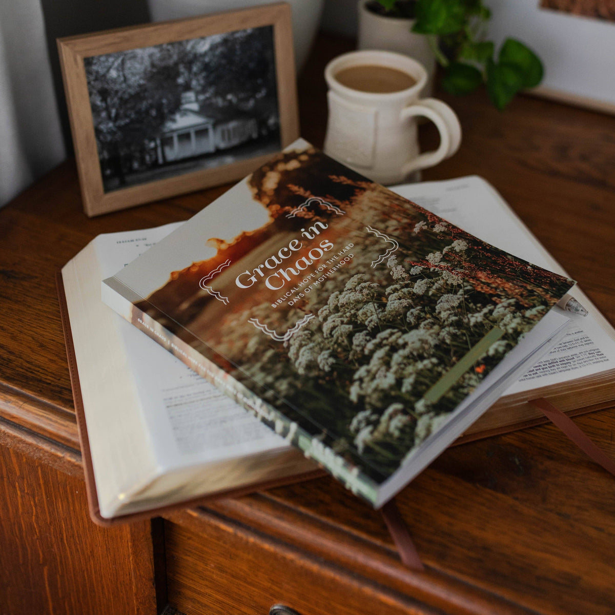 Grace in Chaos Bible Study