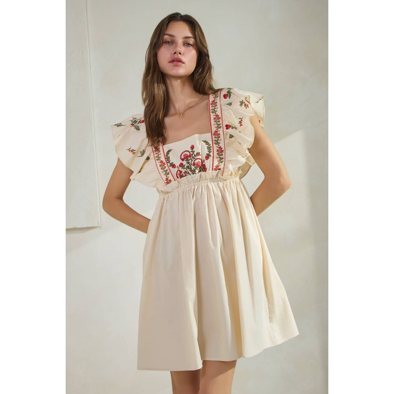 Embroidered Poplin Mini Dress