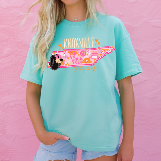 Knoxville Tennessee Preppy Pink Football State Tee